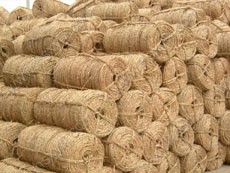 葦苫子介紹（現(xiàn)場實(shí)景）